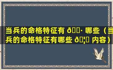 当兵的命格特征有 🌷 哪些（当兵的命格特征有哪些 🦊 内容）